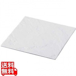 フュージョンプレート スクエア ホワイト 写真1