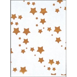 SKバッグ 星(100枚入)No.6 写真1