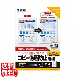 マルチタイプコピー偽造防止用紙(B4) 写真1