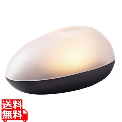 メニュー オーガニックハリケーン 4751589 写真1