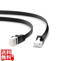 LANケーブル Cat6A ツメが折れない フラット 10m ブラック RJ45コネクタ 10Gbps RoHS指令準拠(10物質) 写真1