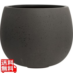 テラニアス ローバルーン550 アンティークブラウン 写真1