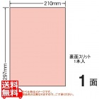 マルチタイプ カラーラベル 210mm×297mm A4版 210mm×297mm 500シート(100シート×5)