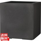 ブラックアイロンライト BL チェルトンハム400