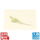 尺三 懐石まっと クリーム(100枚入)WSS-2 松