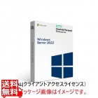 Windows Server 2022 CAL 10ユーザー【日本HP用】