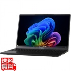 Endeavor NL3000E 仕様固定モデル(Core Ultra 5 226V/16GB/SSD・256GB/ODDなし/Win11Pro64/Office H&B 2024/16型/1年お預かり修理/3年部品保証)