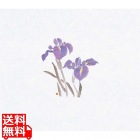 鮮度保持紙(100枚入) あやめ M30-091