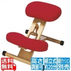 宮武製作所 ミヤタケ プロポーションチェア レッド | チェア イス 椅子 いす 子どもから大人まで 姿勢 背中 補助 矯正 背筋 キャスター 高さ調節 クッション