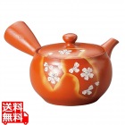 富仙 朱泥帯丸扇面桜急須 Y805