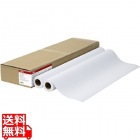 スタンダード普通紙2 64g/m2 A0 841mm×50m 2本/箱 LFM-PPS2/A0/64