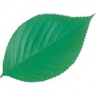 型抜きクリアシート(200枚入)65782 ミニ・木の葉