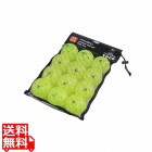 ピックルボール練習球12個セット