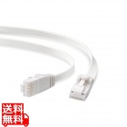 LANケーブル/CAT6A準拠/爪折れ防止/フラット/5.0m/ホワイト