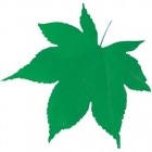 型抜きクリアシート(200枚入)65783 ミニ・青もみじ