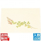 尺三 懐石まっと クリーム(100枚入)WSS-11 萩