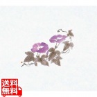 鮮度保持紙(100枚入) あさがお M30-094