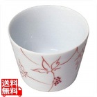 そば千代口 うこぎ(赤) 2702-472