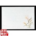 四季紙 千寿(100枚入)M30-214 すすき