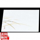 四季紙 萬寿(100枚入)M33-114 ほたる