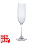 カーライル アリバイ フルートグラス 240cc 5640-07