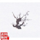 鮮度保持紙(100枚入) 白梅 M30-085