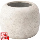 グリーンベース