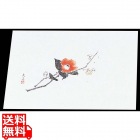 四季紙 萬寿(100枚入)M33-106 梅と椿