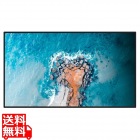 【法人向けREGZA】43V型4K液晶レグザ 輝度500cd 24時間連続稼働 傾斜設置対応 ヘイズ値25% 3年長期保証