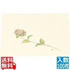 尺三 懐石まっと クリーム ( 100枚入 ) WSS-6 あじさい