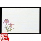 四季紙 千寿(100枚入)M30-207 あやめ