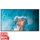 【法人向けREGZA】50V型4K液晶レグザ 輝度500cd 24時間連続稼働 傾斜設置対応 ヘイズ値25% 3年長期保証