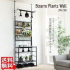 ビザールプランツウォールラック LPW-2100-BK 植物育成ライト 植物用サーキュレーター 取り付け可能 ビカクウォール 壁掛け 植物棚 ツッパリ棚 植物を乗せる台