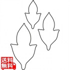 生抜 3PC 牡丹