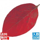 型抜きクリアシート(200枚入)65369 柿の葉