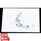 四季紙 萬寿(100枚入)M33-119 菊