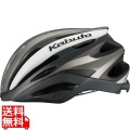 レッツア・2 G-1マットシルバー(XL/XXL) ( REZZA-2 ) 写真1