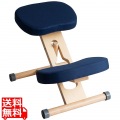 プロポーションチェア CH-N88W ナチュラルネイビー 写真1