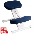 プロポーションチェア CH-N88W ホワイトネイビー 写真1