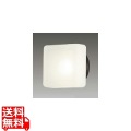 LEDB85906(K)/LEDユニットフラット形 アウトドアブラケット 写真1