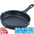 岩鋳 鉄 フライパン17cm 24010 IH対応 南部鉄器 写真1