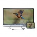 USB Type C-HDMI/VGA変換アダプタ(4K/30Hz/PD対応) 写真10
