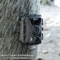 連続録画機能付きトレイルカメラ 写真10