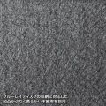 CDジャケット収納対応セミハードケース(160枚収納・ブラック) 写真11