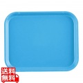 カムトレー(FRP)1014 ロビンエッグブルー 写真1