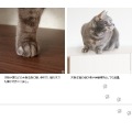 トイレクローゼット キャット 木目柄 ：幅75 高さ99 CR-1011 ブラウン 宮武製作所 | トイレ 収納 写真12
