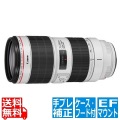 EF 70-200/2.8L IS III USM 写真1