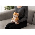 癒されアニマルmovemal(むぶまる) 柴犬 茶柴 写真14