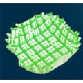 ココ・ケース(500枚入)正角 緑 写真1