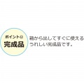 アンティークミラー付チェスト4段 写真15